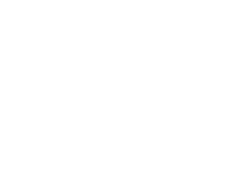 NVIDIA logo